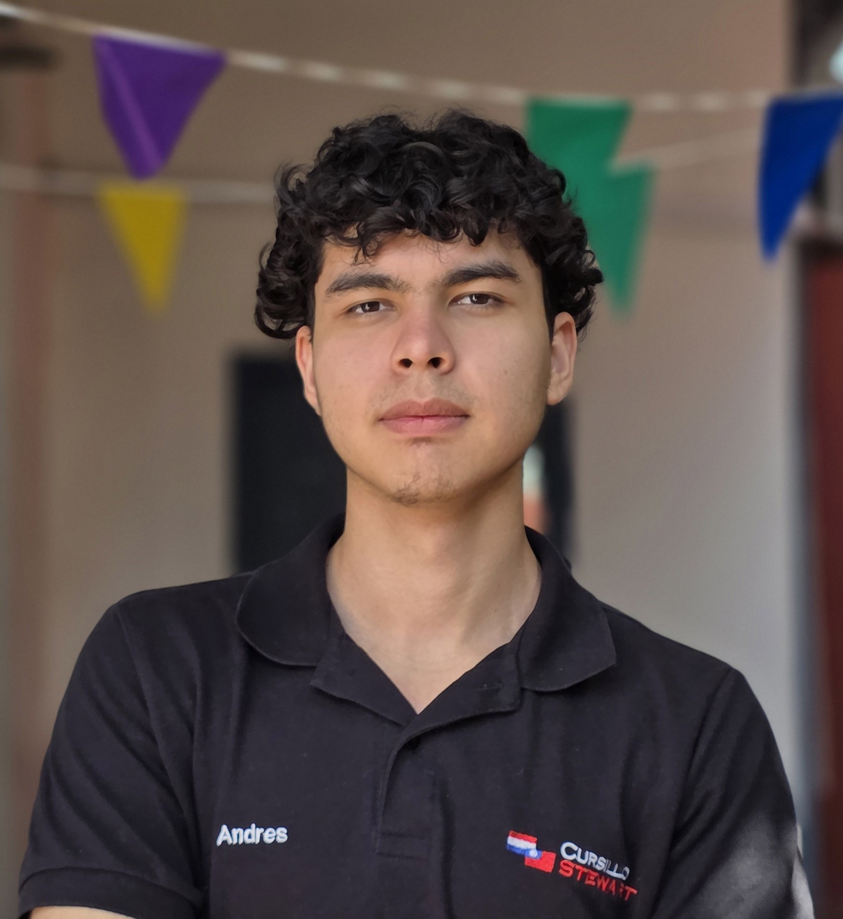 Profesor Andres Torres